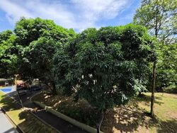 Blk 112 Simei Street 1 (Tampines), HDB 5 Rooms #552390431